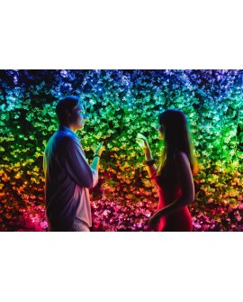 Inteligentne lampki choinkowe Twinkly 250 RGB 20m