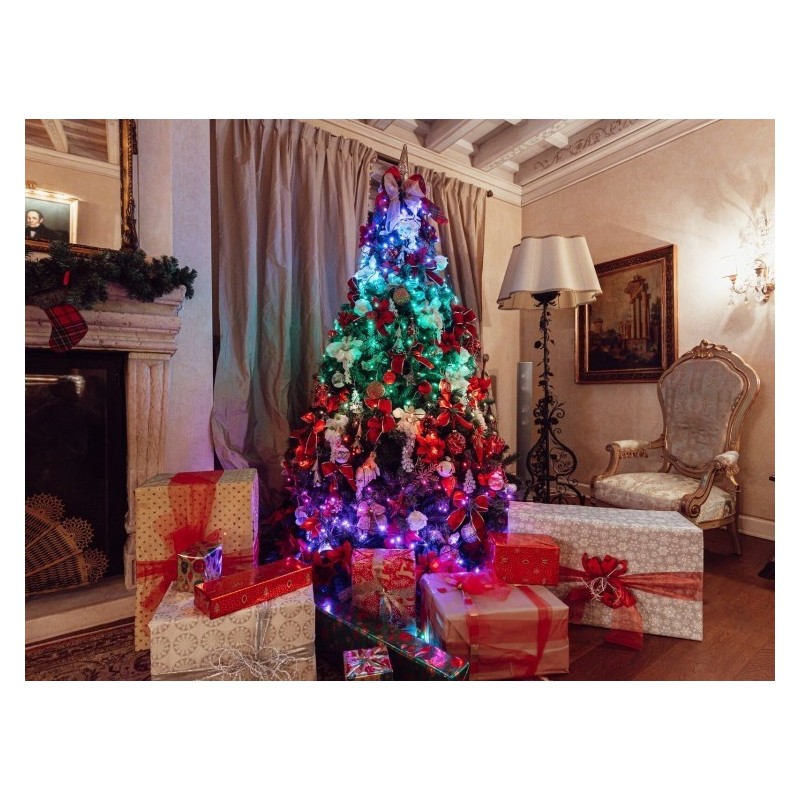 Twinkly Strings – 250 RGB+W Ciąg świetlny, przezroczysty przewód, typ wtyczki F