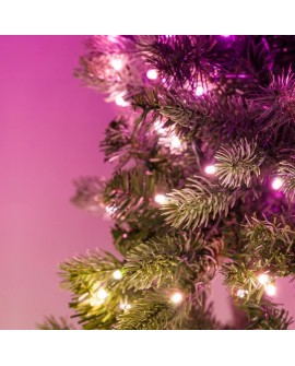 Twinkly Wstępnie oświetlony wieniec – 50 RGB LED, Regal 24" zielony przewód, typ wtyczki C