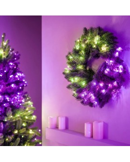 Twinkly Wstępnie oświetlony wieniec – 50 RGB LED, Regal 24" zielony przewód, typ wtyczki C