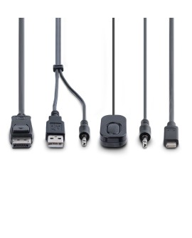 StarTech.com C2-D46-UAC-CBL-KVM przełącznik KVM Czarny