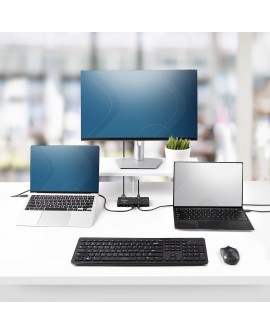 StarTech.com C2-H46-UC2-PD-KVM przełącznik KVM Czarny