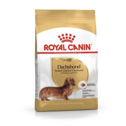 Royal Canin BHN Dachshund...