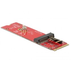 DeLOCK 63343 adapter...