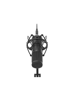 Mikrofon Genesis Radium 400 Studyjny USB Ramię Popfiltr