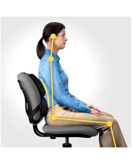 Fellowes Ergonomia podpórka poduszka profesjonalna pod plecy