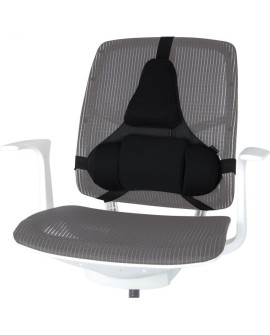 Fellowes Ergonomia podpórka poduszka profesjonalna pod plecy