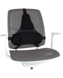 Fellowes Ergonomia podpórka poduszka profesjonalna pod plecy
