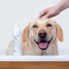 VetExpert Hypoallergenic Shampoo - Pielęgnacja dla psów i kotów - 250ml