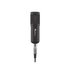 Genesis Radium 300 XLR -...