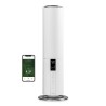 Duux Beam Smart Ultrasonic Humidifier, Gen2 27 W, Water tank capacity 5 L, Suitable for rooms up to 40 m2, Ultrasonic,