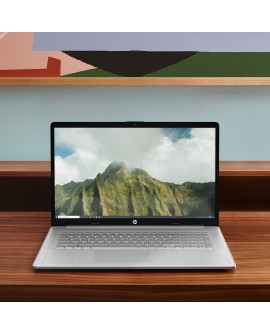 HP 17-cn3134nw i7-1355U 17,3"FHD AG IPS 250 nits 16GB DDR4 SSD512 IrisXe Cam Win11 2Y Natural Silver
