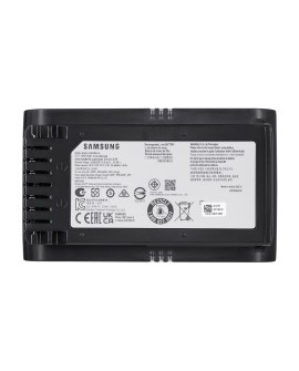 Odkurzacz pionowy Samsung VS20B75ACR5/GE