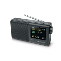 Przenośne Radio Muse M-117...