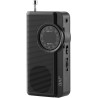 Przenośne Radio JVC RA-E311B