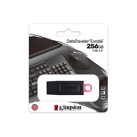 Kingston USB flash disk, USB 3.0, 256GB, DataTraveler Exodia, czarny, DTX/256GB, USB A, z osłoną
