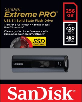 Pendrive SanDisk EXTREME PRO SDCZ880-256G-G46 (256GB USB 3.1 kolor czarny)