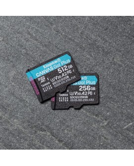 KINGSTON microSDXC Canvas Go Plus 256GB