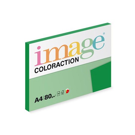 Papier kserograficzny Coloraction, Dublin, A4, 80 g/m2, ciemne zielony, 100 arkusza, nadaje się do druku atramentowego
