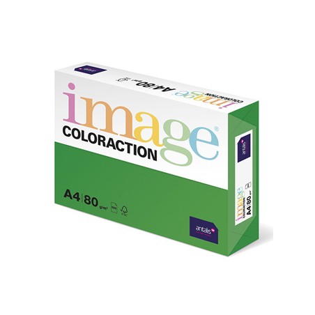 Papier kserograficzny Coloraction, Dublin, A4, 80 g/m2, ciemne zielony, 500 arkusza, nadaje się do druku atramentowego