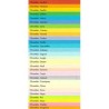 Papier kserograficzny Coloraction, Dublin, A4, 80 g/m2, ciemne zielony, 500 arkusza, nadaje się do druku atramentowego