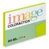 Papier kserograficzny Coloraction, Java, A4, 80 g/m2, średni zielony, 100 arkusza, nadaje się do druku atramentowego