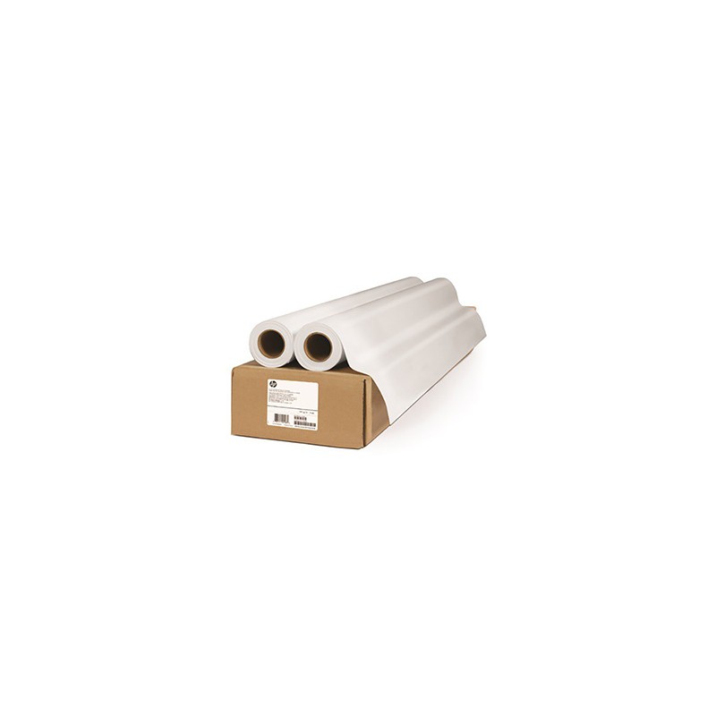 HP HP Everyday Matte Polypropylene, Matt polipropylen, CH024A, foto niepowlekany polipropylen, 2pack typ matowy, biały, role, 12
