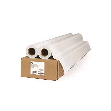 HP HP Everyday Matte Polypropylene, Matt polipropylen, CH024A, foto niepowlekany polipropylen, 2pack typ matowy, biały, role, 12