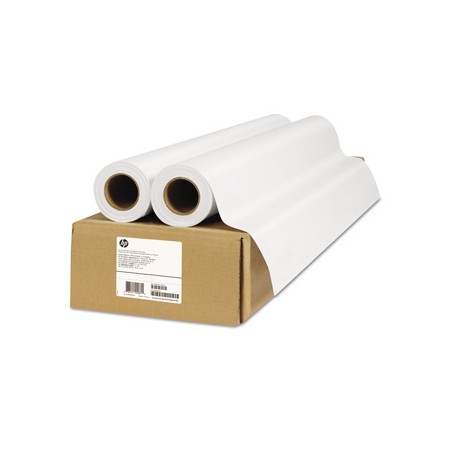 HP HP Everyday Matte Polypropylene, Matt polipropylen, CH025A, foto niepowlekany polipropylen, matowy, biały, role, 120 g/m2, 2 
