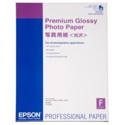 Epson Premium Glossy Photo Pa, C13S042091, foto papier, połysk, biały, Stylus Photo 890, 895, 1270, 2100, A2, 255 g/m2, 25 szt.,