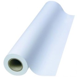 Role do plotera, 420/46m/50, 17", 1-pack, 80 g/m2, papier, 420mmx46m, do drukarek atramentowych, rolka