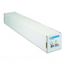 HP 1118/15.2/Professional Satin Photo Paper, satynowy, 44", Q8840A, 300 g/m2, papier, 1118mmx15.2m, biały, do drukarek atramento