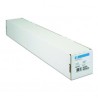 HP 1118/15.2/Professional Satin Photo Paper, satynowy, 44", Q8840A, 300 g/m2, papier, 1118mmx15.2m, biały, do drukarek atramento