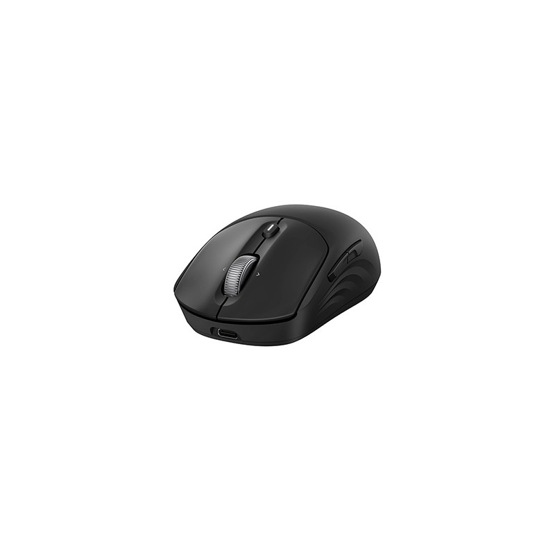 HP 705 Capacitor Wireless Mouse Mysz bezprzewodowa, czarna, 1200DPI