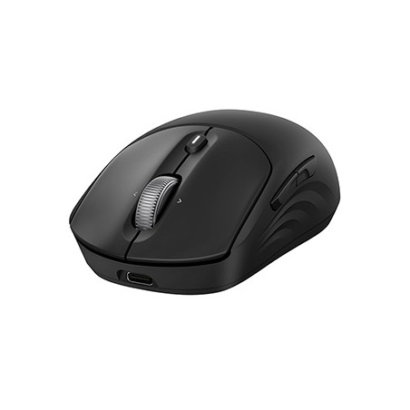 HP 705 Capacitor Wireless Mouse Mysz bezprzewodowa, czarna, 1200DPI