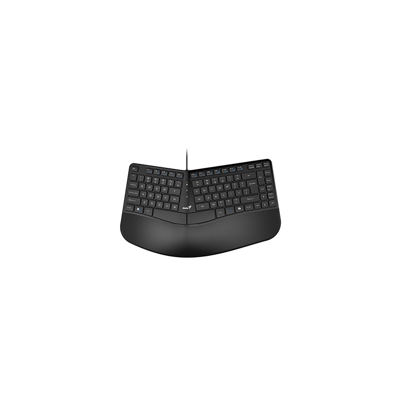 Genius Ergo KB-700 Copilot klawiatura przewodowa (USB) CZ/SK, czarna