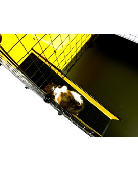 C&C Piętrowa klatka modułowa dla świnki morskiej, królika, jeża 145x75 cm - czarna