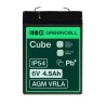 Green Cell AGM VRLA 6V 4.5Ah maintenance-free bateria do the systemów alarmowych, kas, zabawek