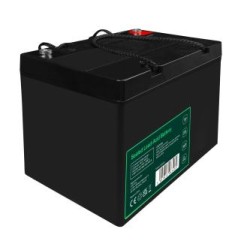 Green Cell AGM VRLA 12V 55Ah maintenance-free bateria do mower, skuter, łodzi, wózek inwalidzki