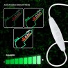 Neon PLEXI LED JURASSIC CROC green FLNJ03 Forever Light
