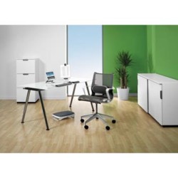 Fellowes Podkładka/ podpórka pod plecy I-Spire, szara, ergo