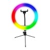Powerton LIFE RING LIGHT, lampa pierścieniowa 10 ", regulacja barwy i intensywności światła, uchwyt telefonu i tripod