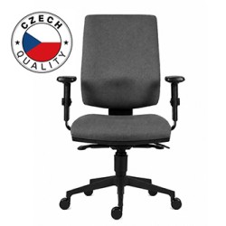 Powerton ERGO HANA Ergonomiczny fotel biurowy, Szary