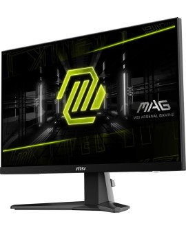 Monitor MSI MAG 256F