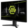Monitor MSI MAG 256F