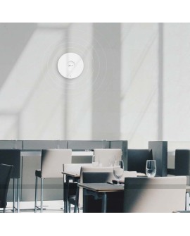 Access Point TP-LINK EAP613