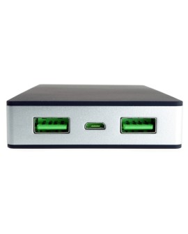 PowerBank PowerNeed P10000B (10000mAh microUSB, USB 2.0 kolor czarny)