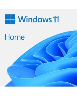 WIN HOME 11 64-bit All Lang Online Product Key ESD