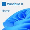 WIN HOME 11 64-bit All Lang Online Product Key ESD