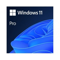 MS Windows 11 Professional...